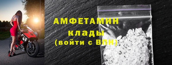 прущие грибы Нефтекумск