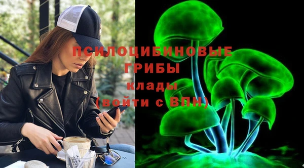 МДПВ Наволоки