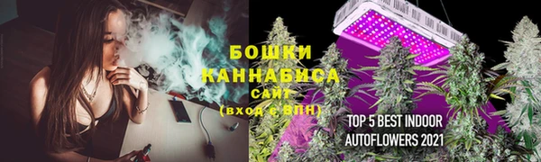 спиды Горно-Алтайск