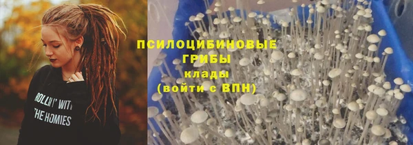 СК Нефтегорск
