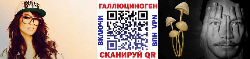 дарнет шоп Касли Псилоцибиновые грибы мухоморы